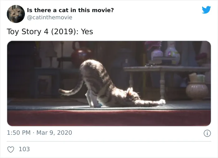 This Twitter Account Asks A Very Important Question: Is There A Cat In This Movie? (30 Pics)