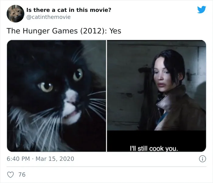 This Twitter Account Asks A Very Important Question: Is There A Cat In This Movie? (30 Pics)