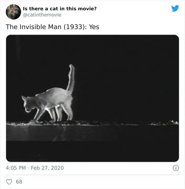 This Twitter Account Asks A Very Important Question: Is There A Cat In This Movie? (30 Pics)