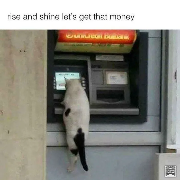 $$$