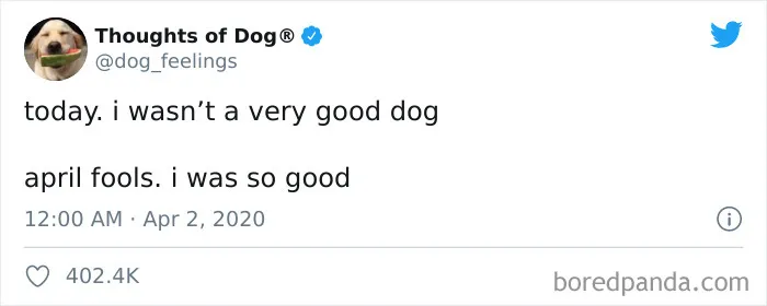 30 Of The Funniest Dog Thoughts That Dog Owners Understand Too Well (New Pics)