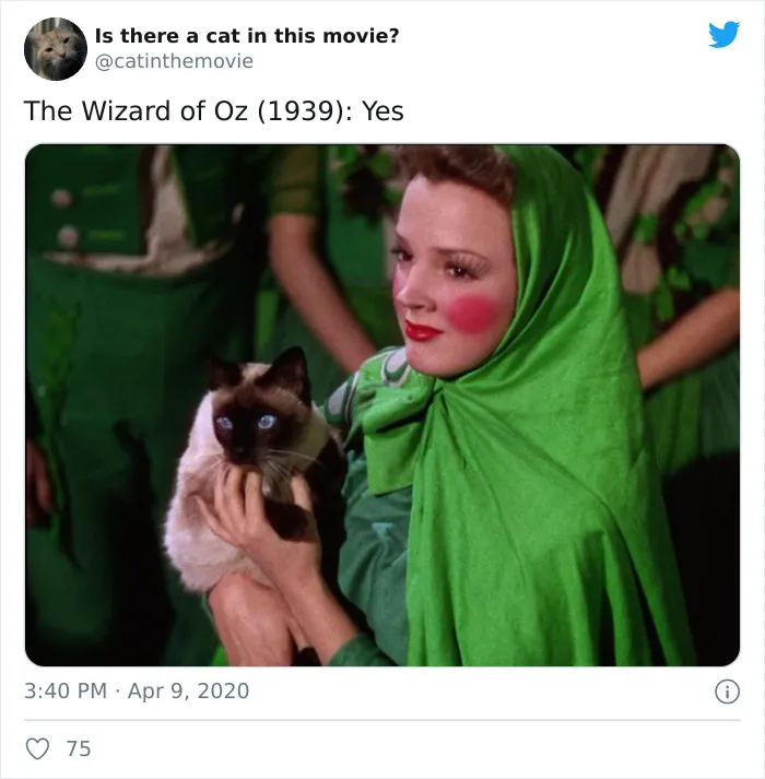 This Twitter Account Asks A Very Important Question: Is There A Cat In This Movie? (30 Pics)