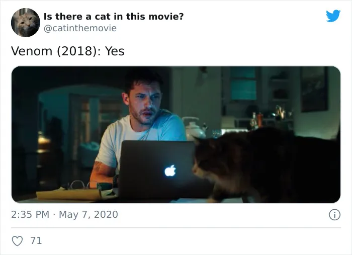This Twitter Account Asks A Very Important Question: Is There A Cat In This Movie? (30 Pics)