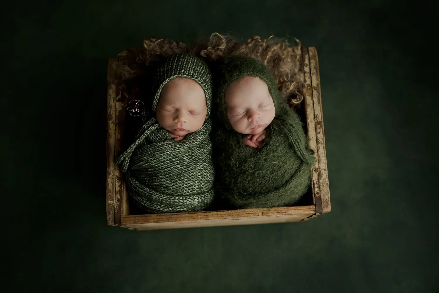 Twin Newborn Overload!