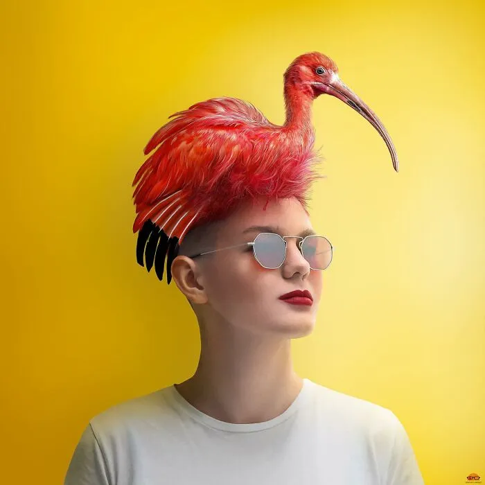 Here Are 66 Surreal Photoshops That Combine Completely Different Objects