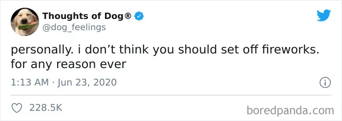 30 Of The Funniest Dog Thoughts That Dog Owners Understand Too Well (New Pics)