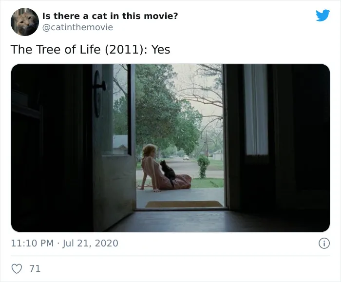 This Twitter Account Asks A Very Important Question: Is There A Cat In This Movie? (30 Pics)