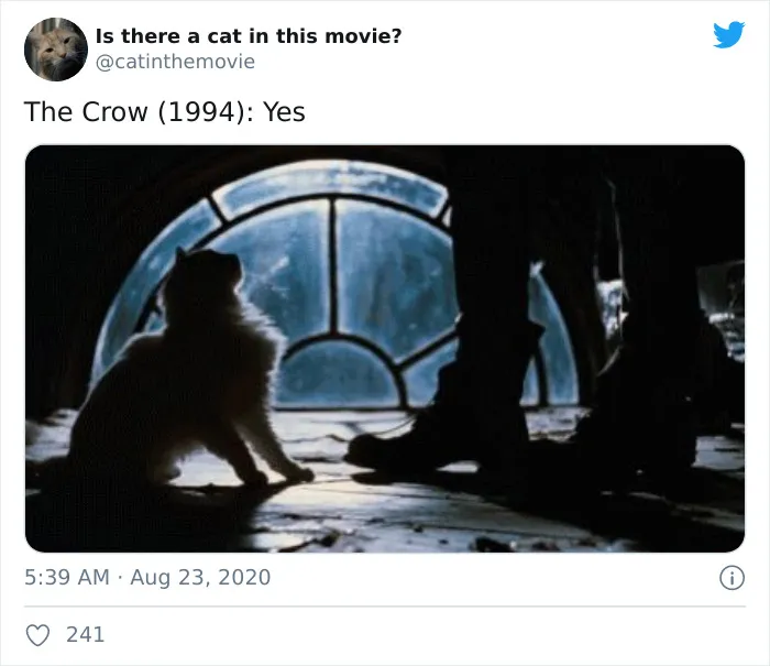 This Twitter Account Asks A Very Important Question: Is There A Cat In This Movie? (30 Pics)