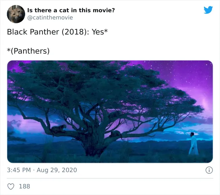 This Twitter Account Asks A Very Important Question: Is There A Cat In This Movie? (30 Pics)