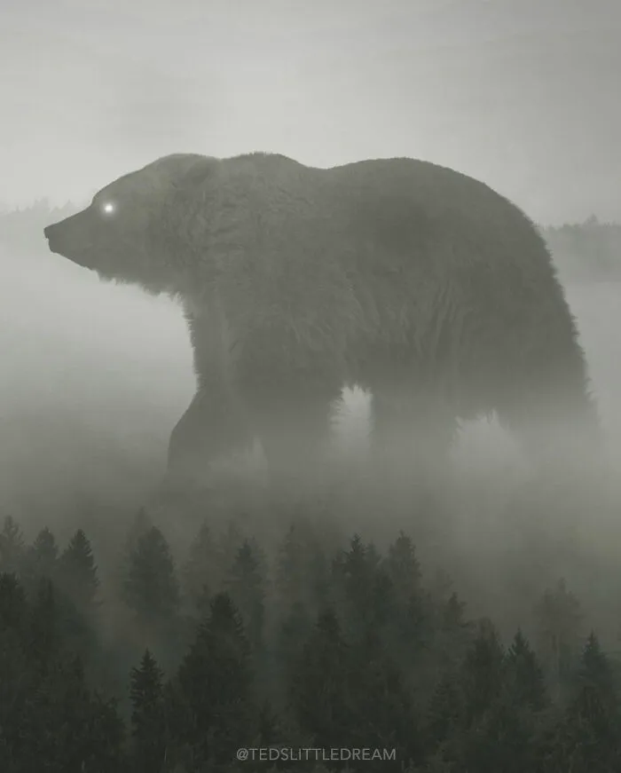 Forest King