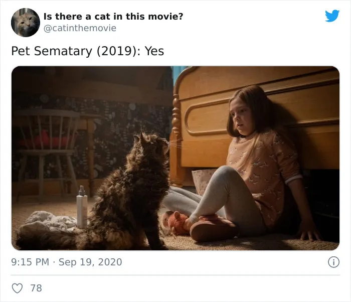 This Twitter Account Asks A Very Important Question: Is There A Cat In This Movie? (30 Pics)