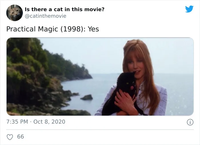 This Twitter Account Asks A Very Important Question: Is There A Cat In This Movie? (30 Pics)