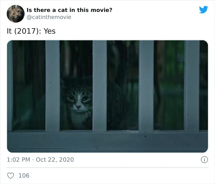 This Twitter Account Asks A Very Important Question: Is There A Cat In This Movie? (30 Pics)