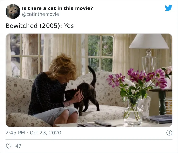This Twitter Account Asks A Very Important Question: Is There A Cat In This Movie? (30 Pics)