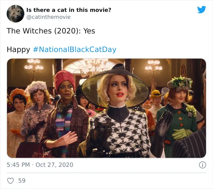 This Twitter Account Asks A Very Important Question: Is There A Cat In This Movie? (30 Pics)