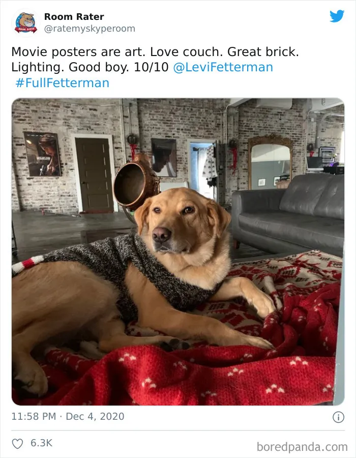 This Twitter Account Rates Famous People's Zoom Backgrounds And Here Are 32 Of The Most Hilarious Ratings