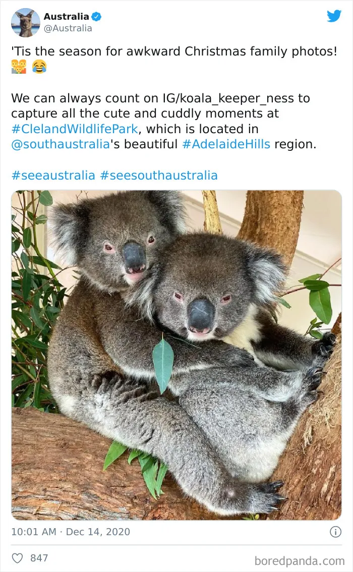 For Anyone Wondering What Christmas In Australia Is Really Like, These 30 Tweets Should Give You An Idea