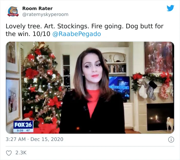 This Twitter Account Rates Famous People's Zoom Backgrounds And Here Are 32 Of The Most Hilarious Ratings