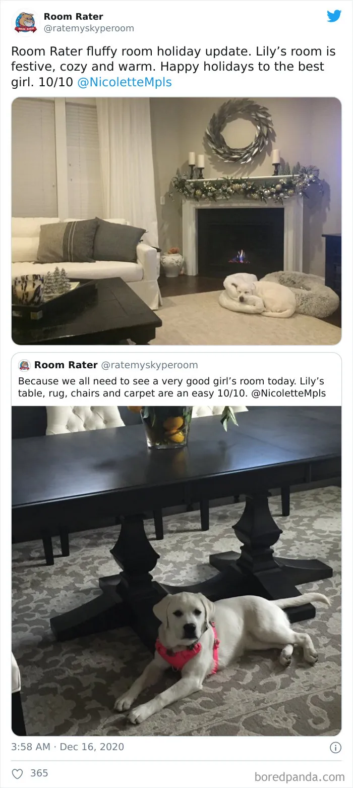 This Twitter Account Rates Famous People's Zoom Backgrounds And Here Are 32 Of The Most Hilarious Ratings