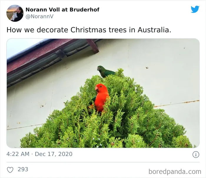 For Anyone Wondering What Christmas In Australia Is Really Like, These 30 Tweets Should Give You An Idea