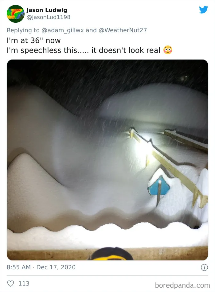Record-Breaking Snowfall Buries Binghamton, New York, And Here's What People Woke Up To (30 Pics)