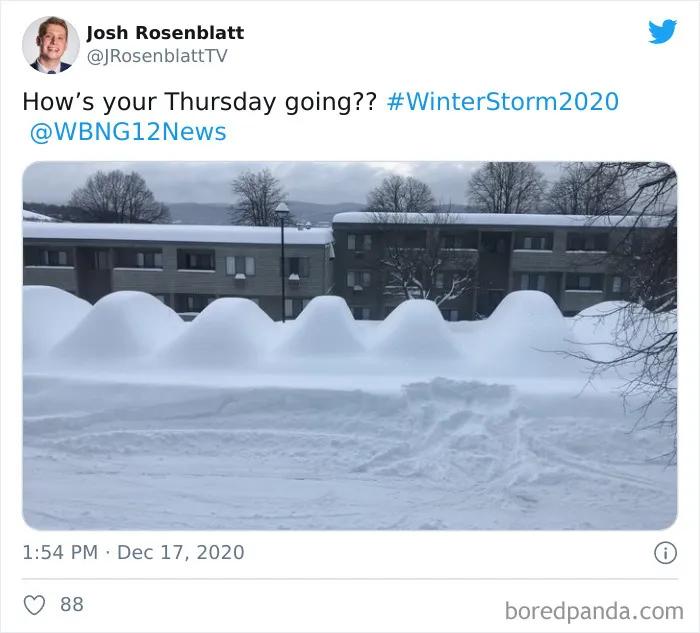 Record-Breaking Snowfall Buries Binghamton, New York, And Here's What People Woke Up To (30 Pics)