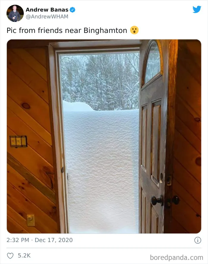Record-Breaking Snowfall Buries Binghamton, New York, And Here's What People Woke Up To (30 Pics)