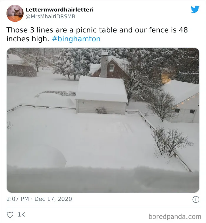Record-Breaking Snowfall Buries Binghamton, New York, And Here's What People Woke Up To (30 Pics)