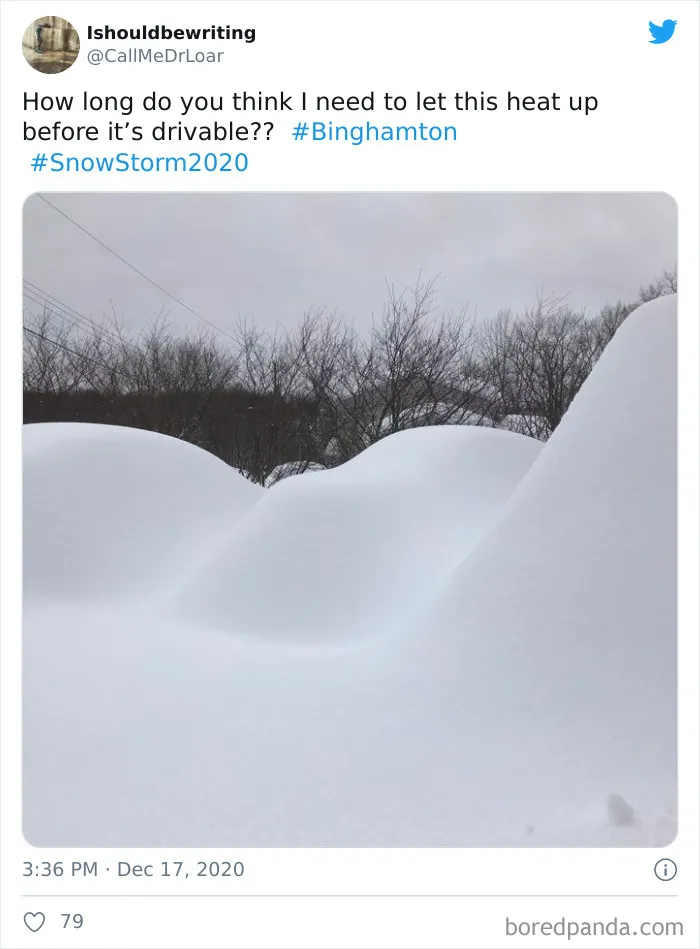 Record-Breaking Snowfall Buries Binghamton, New York, And Here's What People Woke Up To (30 Pics)