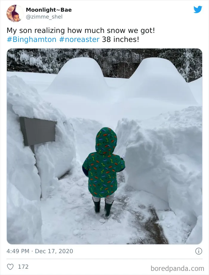 Record-Breaking Snowfall Buries Binghamton, New York, And Here's What People Woke Up To (30 Pics)