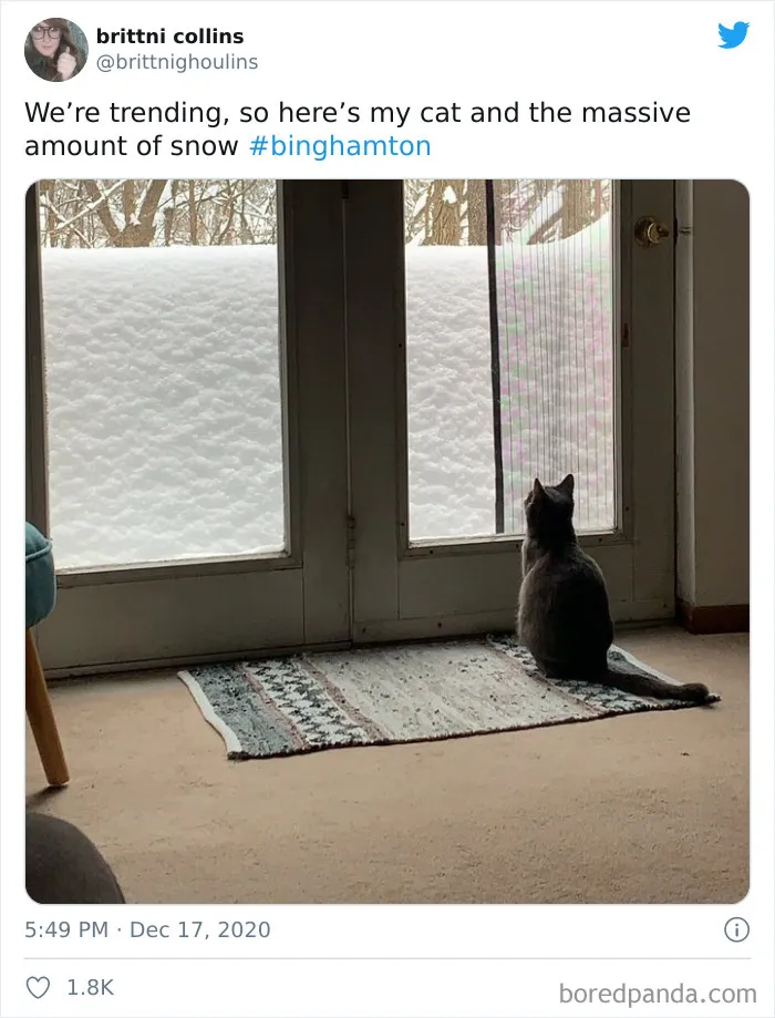Record-Breaking Snowfall Buries Binghamton, New York, And Here's What People Woke Up To (30 Pics)
