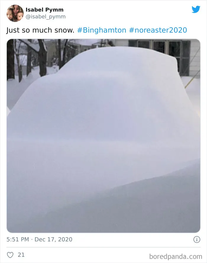 Record-Breaking Snowfall Buries Binghamton, New York, And Here's What People Woke Up To (30 Pics)