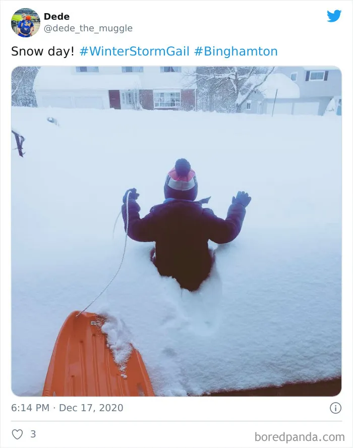 Record-Breaking Snowfall Buries Binghamton, New York, And Here's What People Woke Up To (30 Pics)