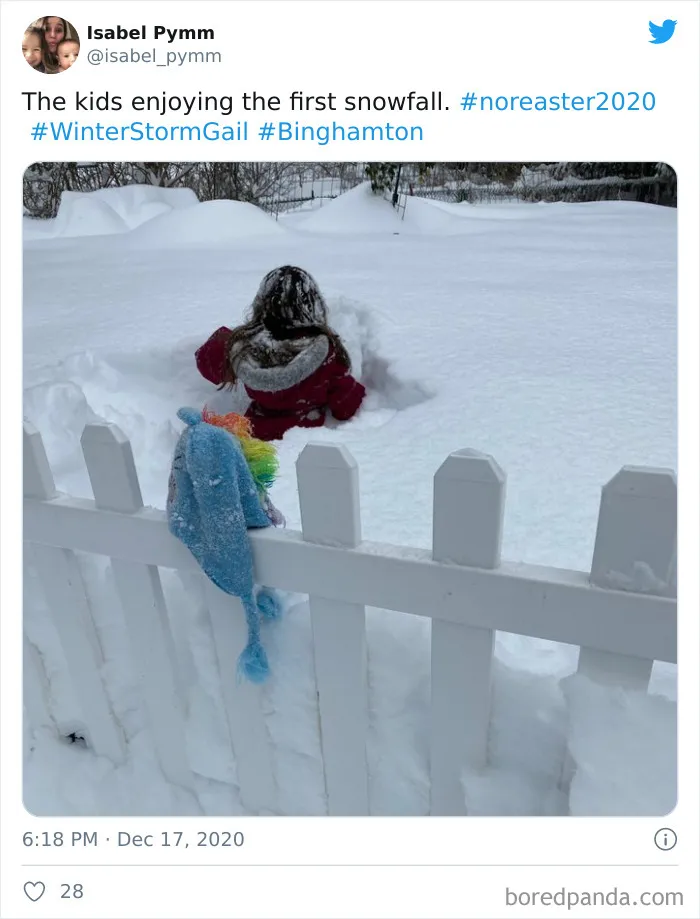 Record-Breaking Snowfall Buries Binghamton, New York, And Here's What People Woke Up To (30 Pics)
