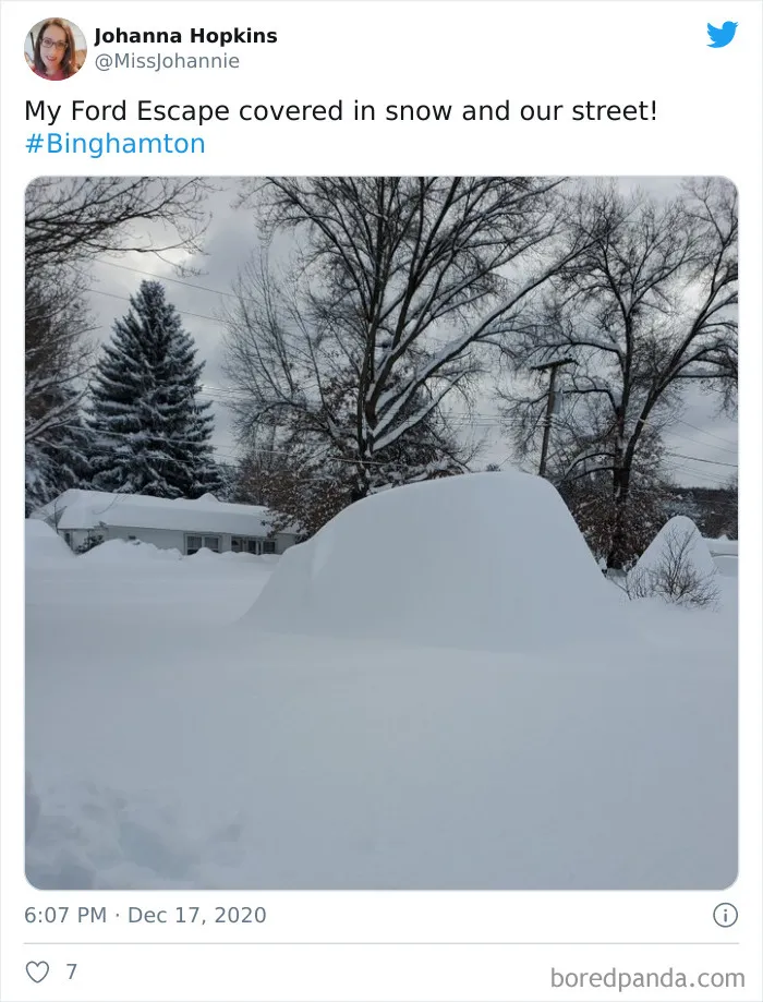 Record-Breaking Snowfall Buries Binghamton, New York, And Here's What People Woke Up To (30 Pics)