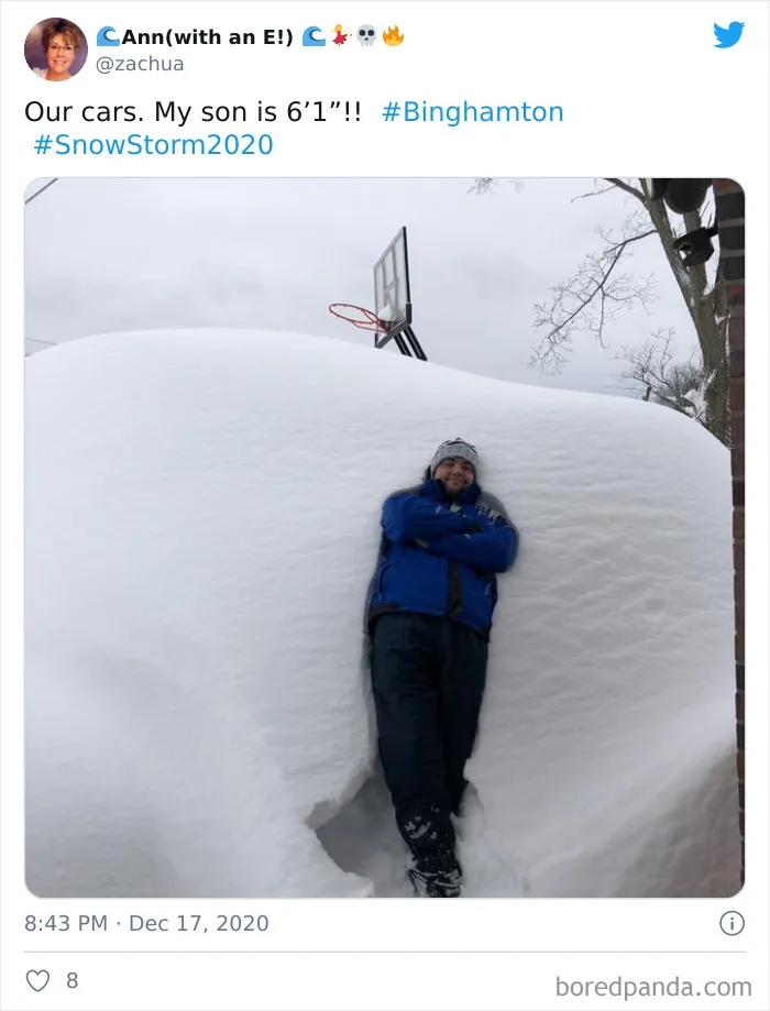 Record-Breaking Snowfall Buries Binghamton, New York, And Here's What People Woke Up To (30 Pics)