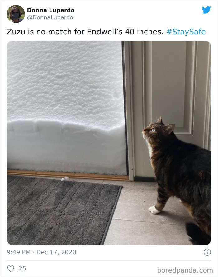 Record-Breaking Snowfall Buries Binghamton, New York, And Here's What People Woke Up To (30 Pics)