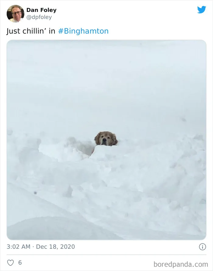 Record-Breaking Snowfall Buries Binghamton, New York, And Here's What People Woke Up To (30 Pics)