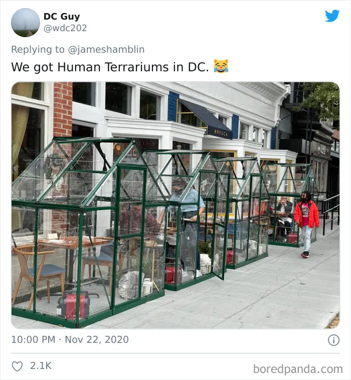 30 Photos Of "Outdoor Dining" That Don't Look Right At All