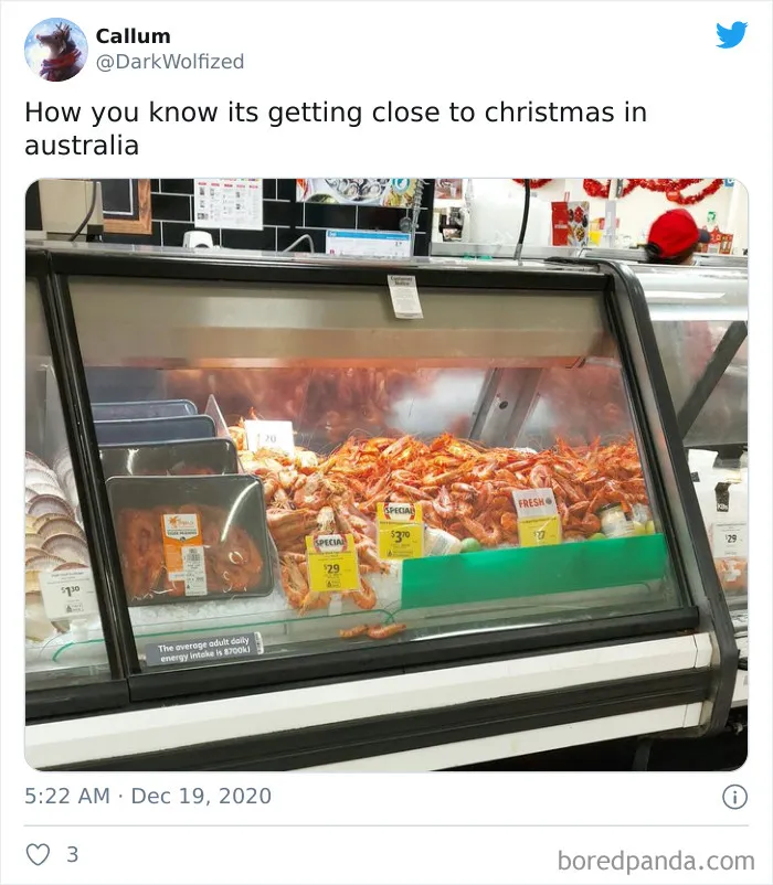 For Anyone Wondering What Christmas In Australia Is Really Like, These 30 Tweets Should Give You An Idea