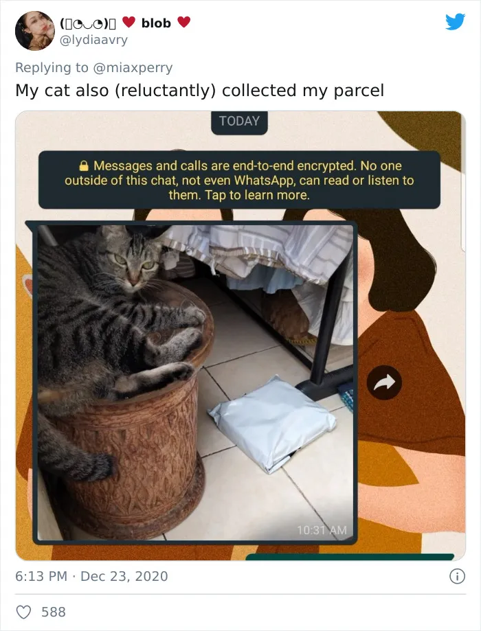 29 Pets Who Surprised Their Owners By "Collecting" Their Delivery