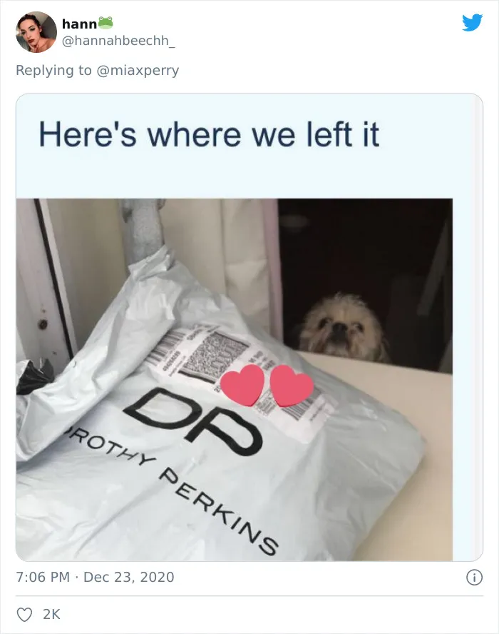 29 Pets Who Surprised Their Owners By "Collecting" Their Delivery