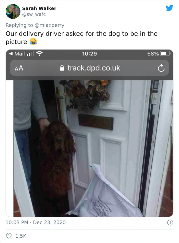 29 Pets Who Surprised Their Owners By "Collecting" Their Delivery