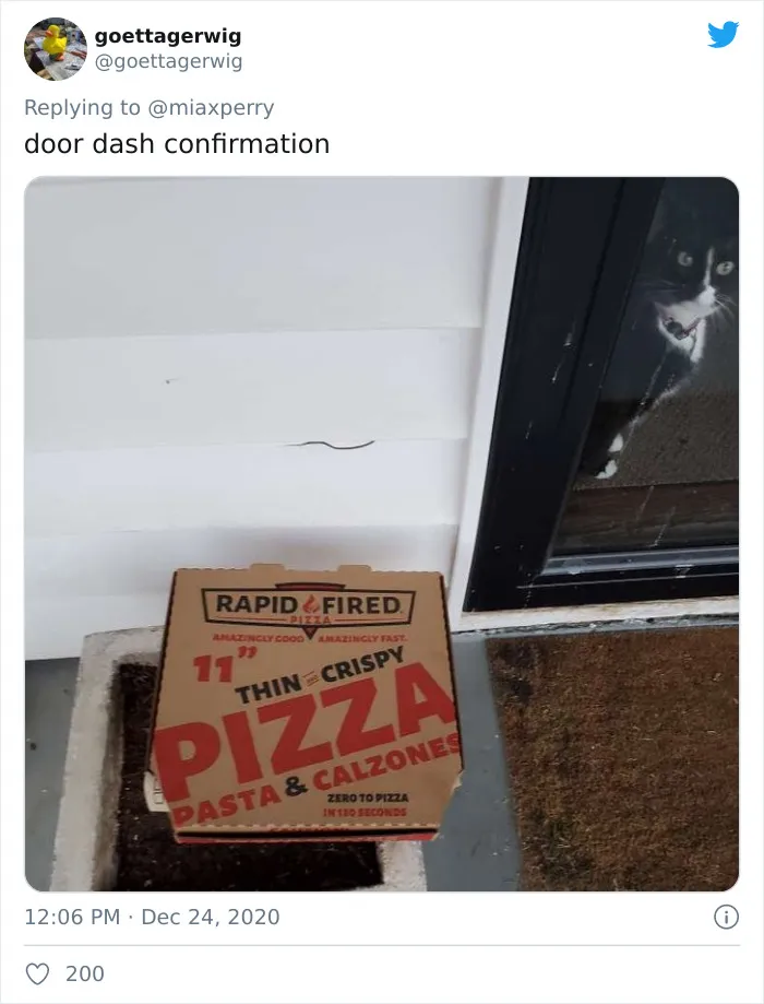 29 Pets Who Surprised Their Owners By "Collecting" Their Delivery