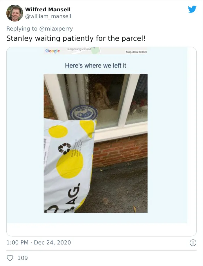 29 Pets Who Surprised Their Owners By "Collecting" Their Delivery