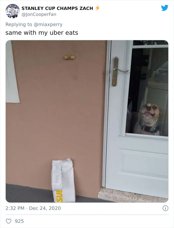 29 Pets Who Surprised Their Owners By "Collecting" Their Delivery