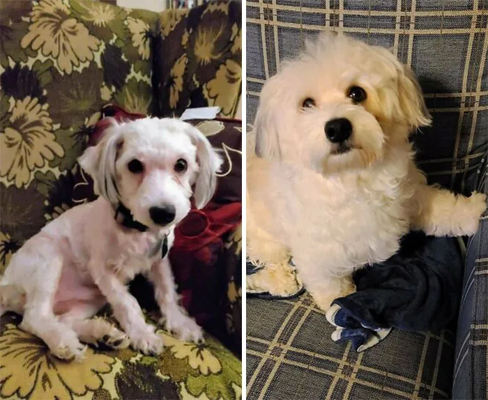 Hace 6 meses y ahora