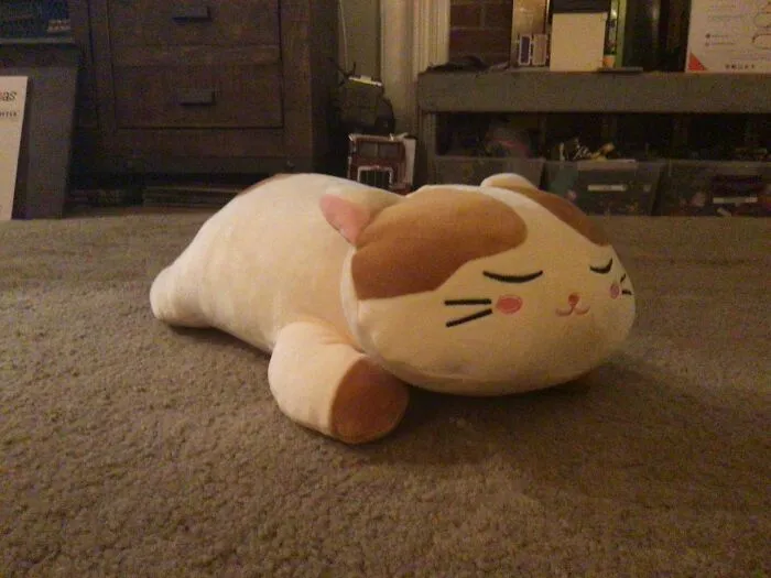 Here’s One! Kitty Plush. (Cuddles)