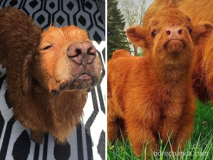 Brother From Another Mother