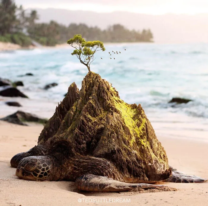 Turtle Island
